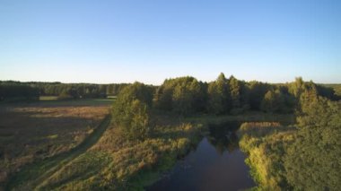 Yeşil ağaçlar ve çalılarla çevrili nehirde bir yürüyüş.