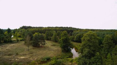 Orta Polonya'da küçük bir nehir, yeşil çayırlar ve ormanlar arasında akan