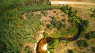 Orta Polonya'da küçük bir nehir, yeşil çayırlar ve ormanlar arasında akan