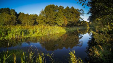 Nehrin tarlalar ve ormanlarla çevrili havadan görüntüsü