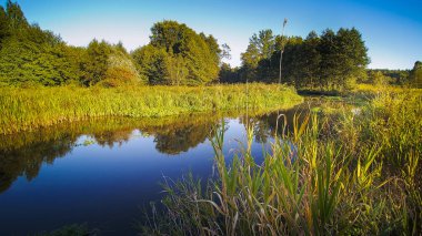 Nehrin tarlalar ve ormanlarla çevrili havadan görüntüsü