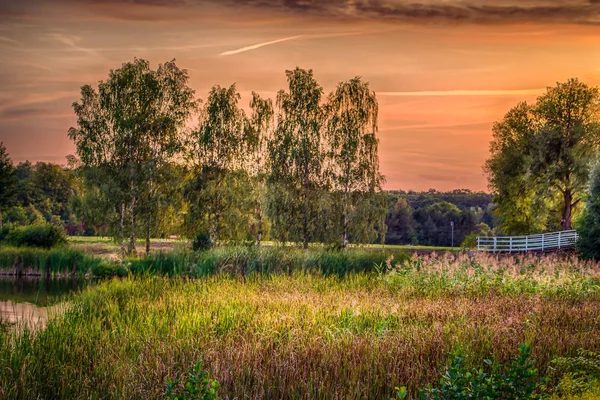 Sunset City Park End Summer — Stock Photo, Image