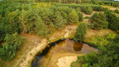 Gizemli Grabia nehri bir yaz günü, Polonya, 2019.