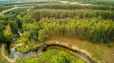 Gizemli Grabia nehri bir yaz günü, Polonya, 2019.