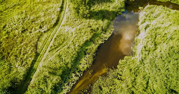 Таинственная Река Грабия Летний День Польша 2019 — стоковое фото