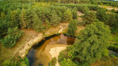 Gizemli Grabia nehri bir yaz günü, Polonya, 2019.