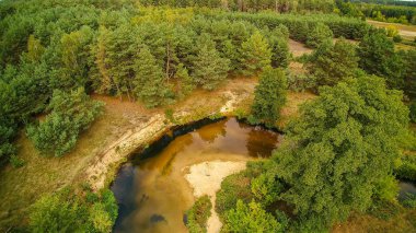 Gizemli Grabia nehri bir yaz günü, Polonya, 2019.