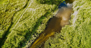 Gizemli Grabia nehri bir yaz günü, Polonya, 2019.