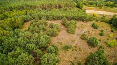 Gizemli Grabia nehri bir yaz günü, Polonya, 2019.