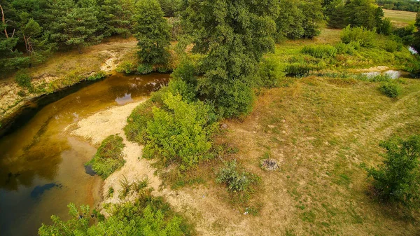 Mysterieuze Rivier Grabia Een Zomerdag Polen 2019 — Stockfoto