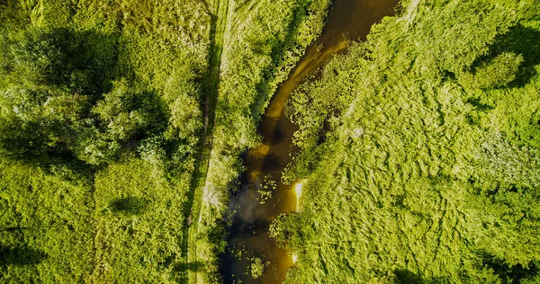 Mysterieuze Rivier Grabia Een Zomerdag Polen 2019 — Stockfoto