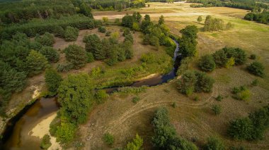 Orta Polonya'da küçük bir nehir, yeşil çayırlar ve ormanlar arasında akan.
