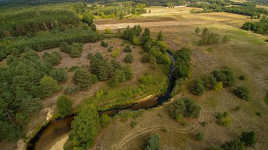 Orta Polonya'da küçük bir nehir, yeşil çayırlar ve ormanlar arasında akan.