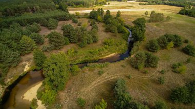 Orta Polonya'da küçük bir nehir, yeşil çayırlar ve ormanlar arasında akan.