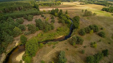 Orta Polonya'da küçük bir nehir, yeşil çayırlar ve ormanlar arasında akan.