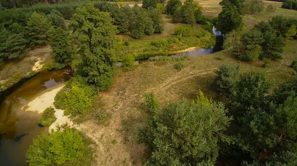 Een Kleine Rivier Centraal Polen Stroomt Tussen Groene Weiden Bossen — Stockfoto
