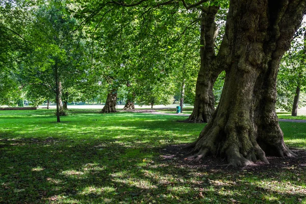 Hermoso Parque Ciudad Cardiff Gales — Foto de Stock