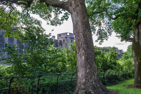 Piękny Park Mieście Cardiff Walia — Zdjęcie stockowe