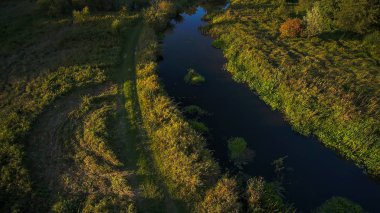 Orta Polonya'da küçük bir nehir, yeşil çayırlar ve ormanlar arasında akan.