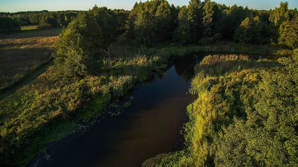 ポーランド中部の小さな川 緑の牧草地と森林の間を流れる — ストック写真