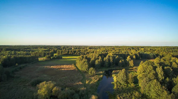 波兰中部的一条小河 在绿色的草地和森林之间流动 — 图库照片