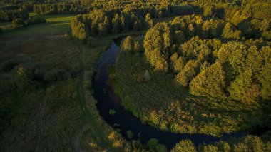Polonya 'nın merkezinde yeşil çayırlar ve ormanlar arasında akan küçük bir nehir..