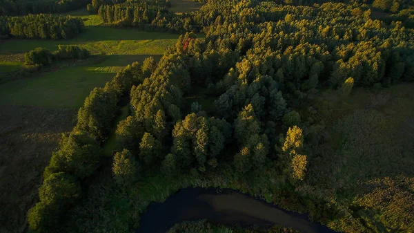 Mała Rzeka Centralnej Polsce Płynąca Wśród Zielonych Łąk Lasów — Zdjęcie stockowe