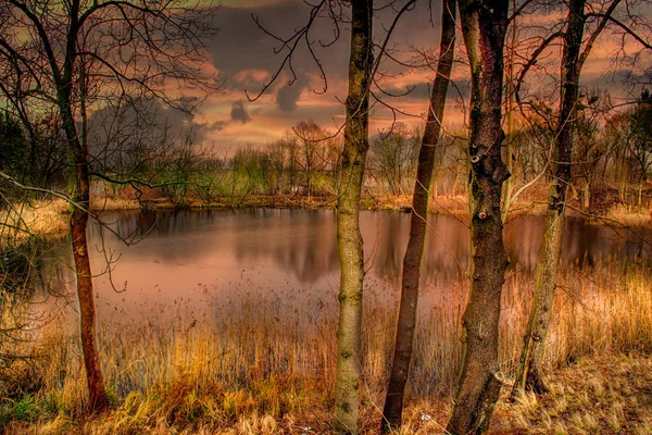 Польша Золотая Осень Лесу Пейзаж Цветами Освещенными Заходящим Солнцем — стоковое фото