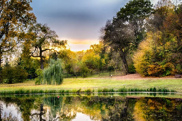 Polonia Otoño Dorado Bosque Paisaje Con Colores Iluminados Por Sol — Foto de Stock