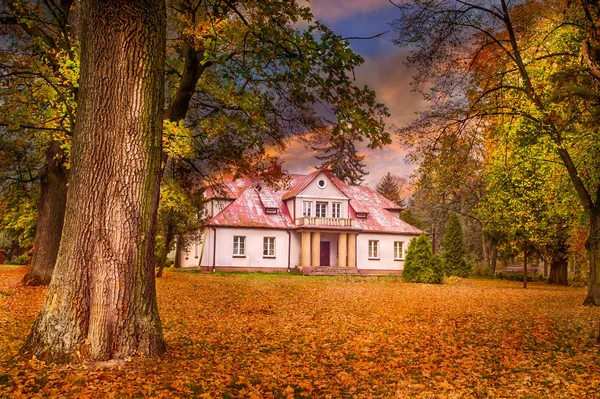 Polonia Otoño Dorado Bosque Paisaje Con Colores Iluminados Por Sol — Foto de Stock