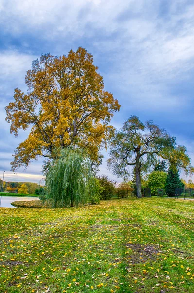 Polonia Otoño Dorado Bosque Paisaje Con Colores Iluminados Por Sol — Foto de Stock