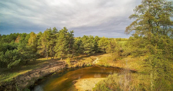 Malá Řeka Středním Polsku Tekoucí Mezi Zelenými Loukami Lesy — Stock fotografie