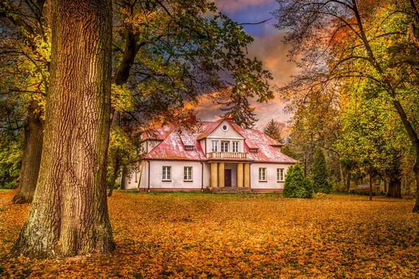 Polska Złota Jesień Lesie Krajobraz Kolorami Oświetlonymi Zachodzącym Słońcem — Zdjęcie stockowe