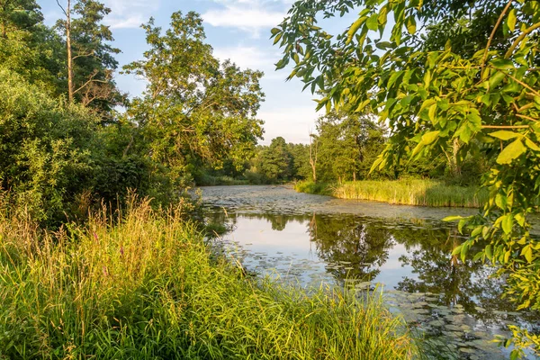 Antiguo Lecho Del Río Widawka Polonia — Foto de Stock