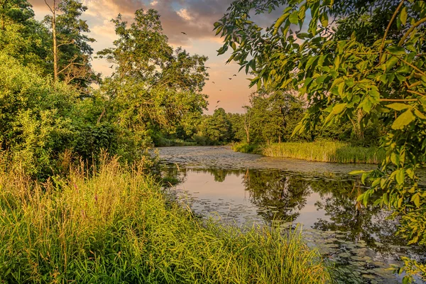 Antiguo Lecho Del Río Widawka Polonia — Foto de Stock