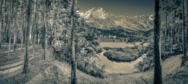 Río Grabia Centro Polonia — Foto de Stock