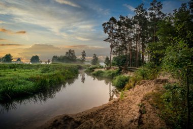 Polonya 'da tarlalar arasında akan küçük bir nehir.
