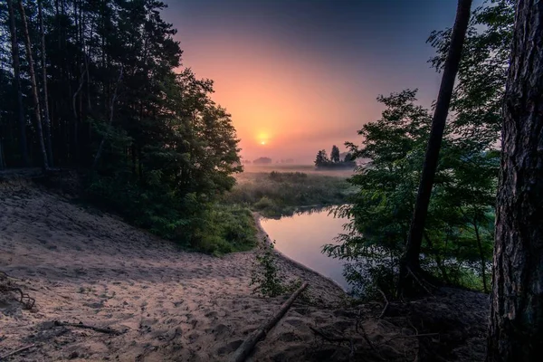 Une Petite Rivière Qui Coule Entre Les Champs Pologne — Photo