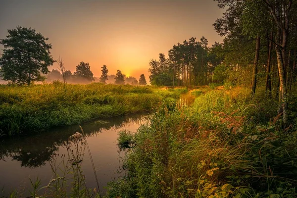 Small Wild River Central Poland — Stock Photo, Image