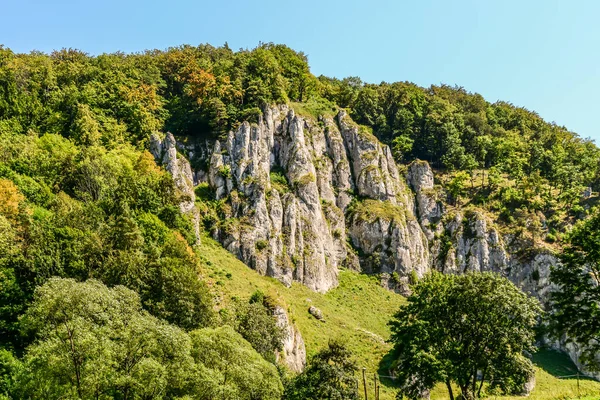 Ojcow Ulusal Parkı, Polonya 2020.
