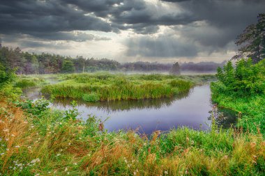 Polonya 'da küçük, vahşi bir nehrin üzerinden uçuyor..