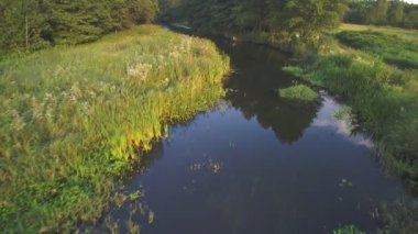 Bir yaz günü, Polonya 'da, küçük vahşi bir nehrin üzerinde alçak uçuş..