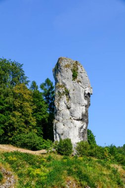 Ojcow Ulusal Parkı, Polonya 2020.