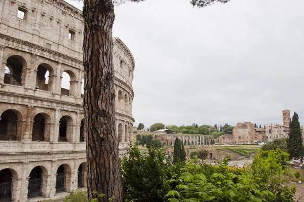 Italië Reizen Naar Italië Rome Amfitheater Van Het Colosseum Roma — Stockfoto