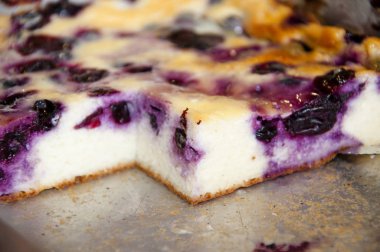 yaban mersini ya da Frenk üzümü berry pie güveç ya da süzme peynir veya lor günlük ürün, closeup puding pişmiş taze kesilmiş cheesecake
