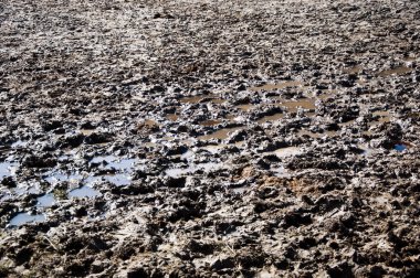 Hiçbir insan güneşli gün doğal zemin üzerine açık ile sıvı boş ile rüşvet yere closeup görünümü kirli ıslak