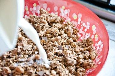 çikolata crunch veya tahıl kırmızı kase veya plaka, closeup kuru kahvaltı kahverengi lezzetli taze sabah dökülen beyaz sağlıklı süt