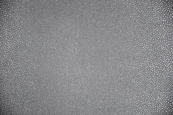 ない人は コピー領域と明るい光沢のあるキラキラ輝くシルバー グレー色空のテクスチャ壁紙背景 — ストック写真