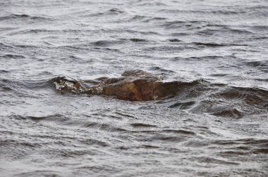 Rock akışı düzgün akan su, taş ile