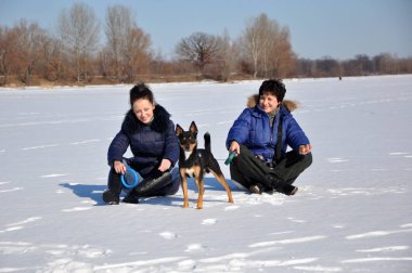 soğuk kış günü kar ile köpek evde beslenen hayvan oturma doğal beyaz arka plan üzerinde oldukça sevimli genç esmer kız ve kadın mavi kış ceket kürk güneşli